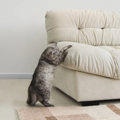 Exclusive Origin Modular Couches | 2-Piece Velvet Beige Split Combine Seating Loveseats 2-seaters